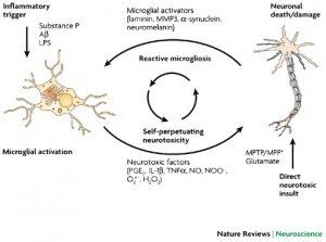 How Monsanto is Destroying the Brains and Health of Everyone. How Monsanto is Destroying the Brains and Health of Everyone.