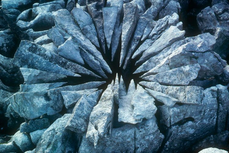 land-art-andy-goldsworthy-8
