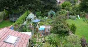 permaculture