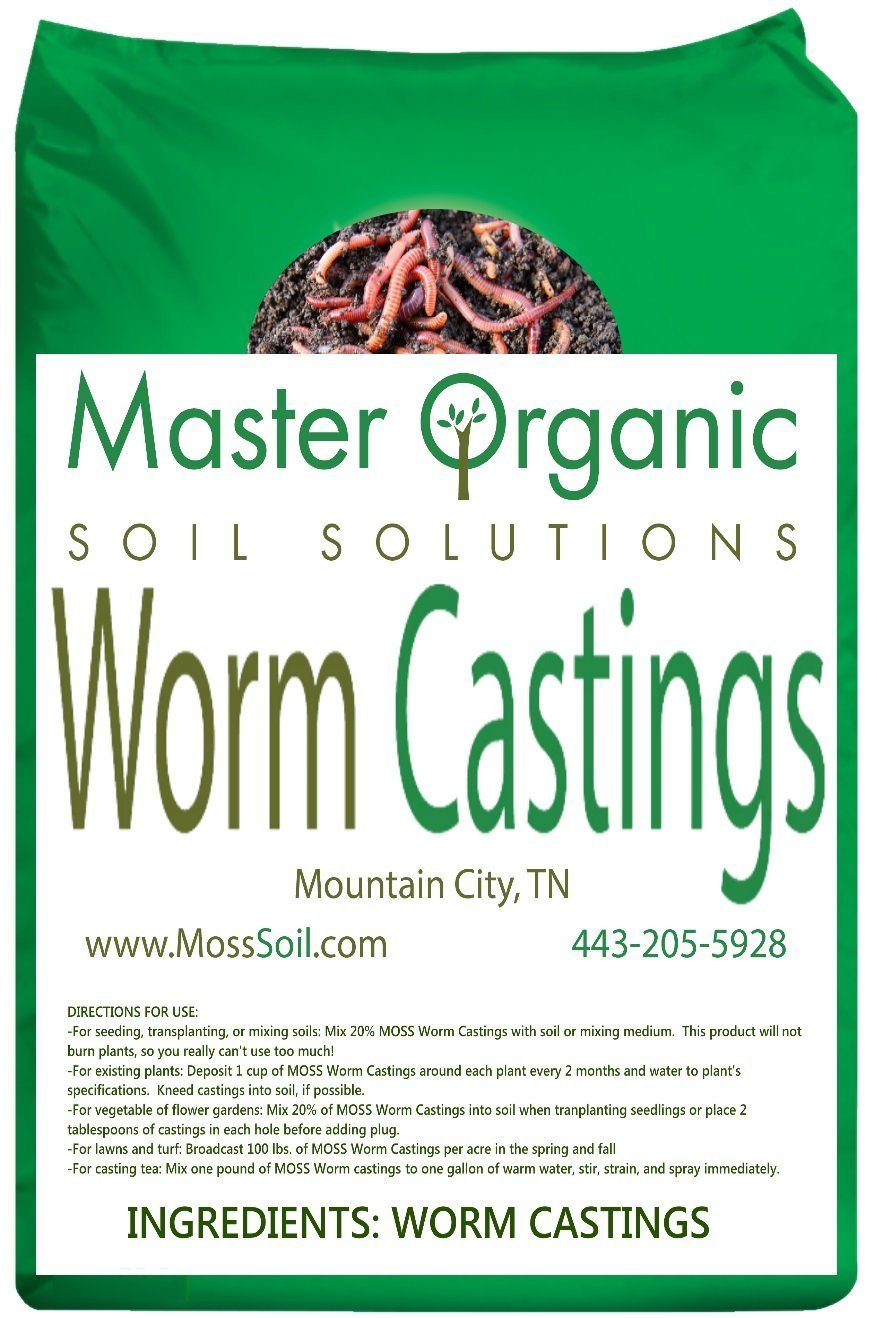 worm casting