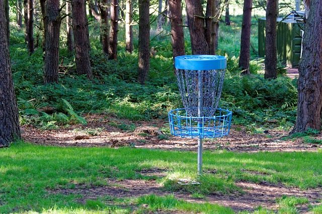 disc-golf-970865_640