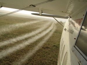 spraying pesticides