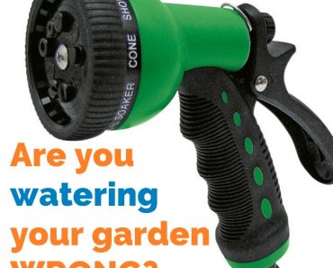 You’re Probably Watering Your Garden Wrong. Here’s Why… You’re Probably Watering Your Garden Wrong. Here’s Why…