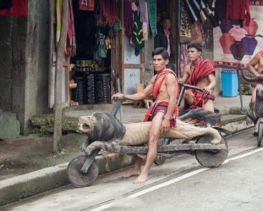 Traditional Wooden Bikes Still in Use by Filipino Tribesmen Traditional Wooden Bikes Still in Use by Filipino Tribesmen