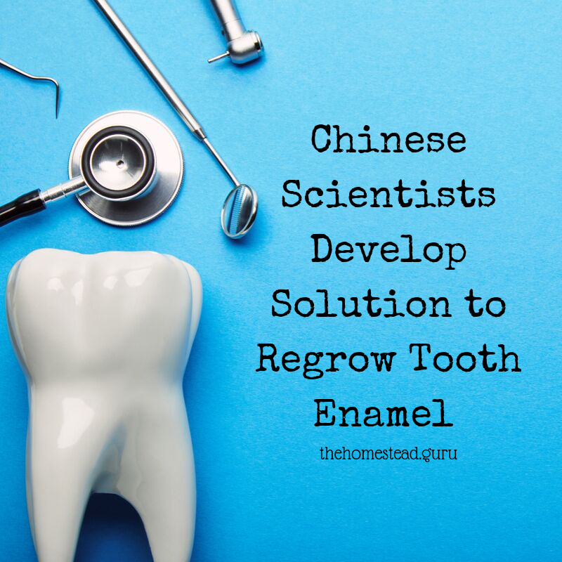 regrow tooth enamel