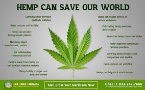 hemp