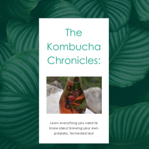 Kombucha Chronicals ebook-A Homestead Guru Exclusive