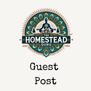 Guest Post Submission